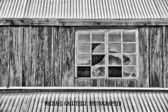 MICHAEL GALLITELLI-4193