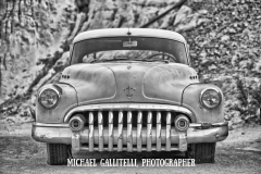 MICHAEL GALLITELLI-4204