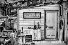 MICHAEL GALLITELLI-4210