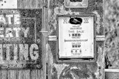 MICHAEL GALLITELLI-4213