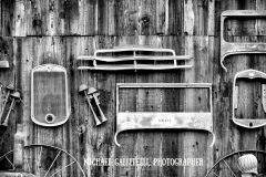 MICHAEL GALLITELLI-4232