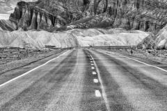 MICHAEL GALLITELLI -5675 copy