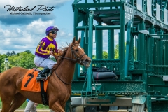 MICHAEL GALLITELLI -7082 copy