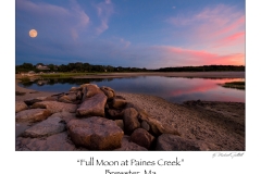 MICHAEL GALLITELLI --9