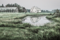 20050625-20050625-20050625-20050625-barn and pond-2