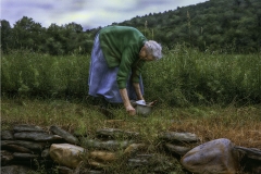 The Berry Picker